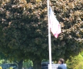 DAN FARBER  RAISING THE FLAG ON VETERANS DAY